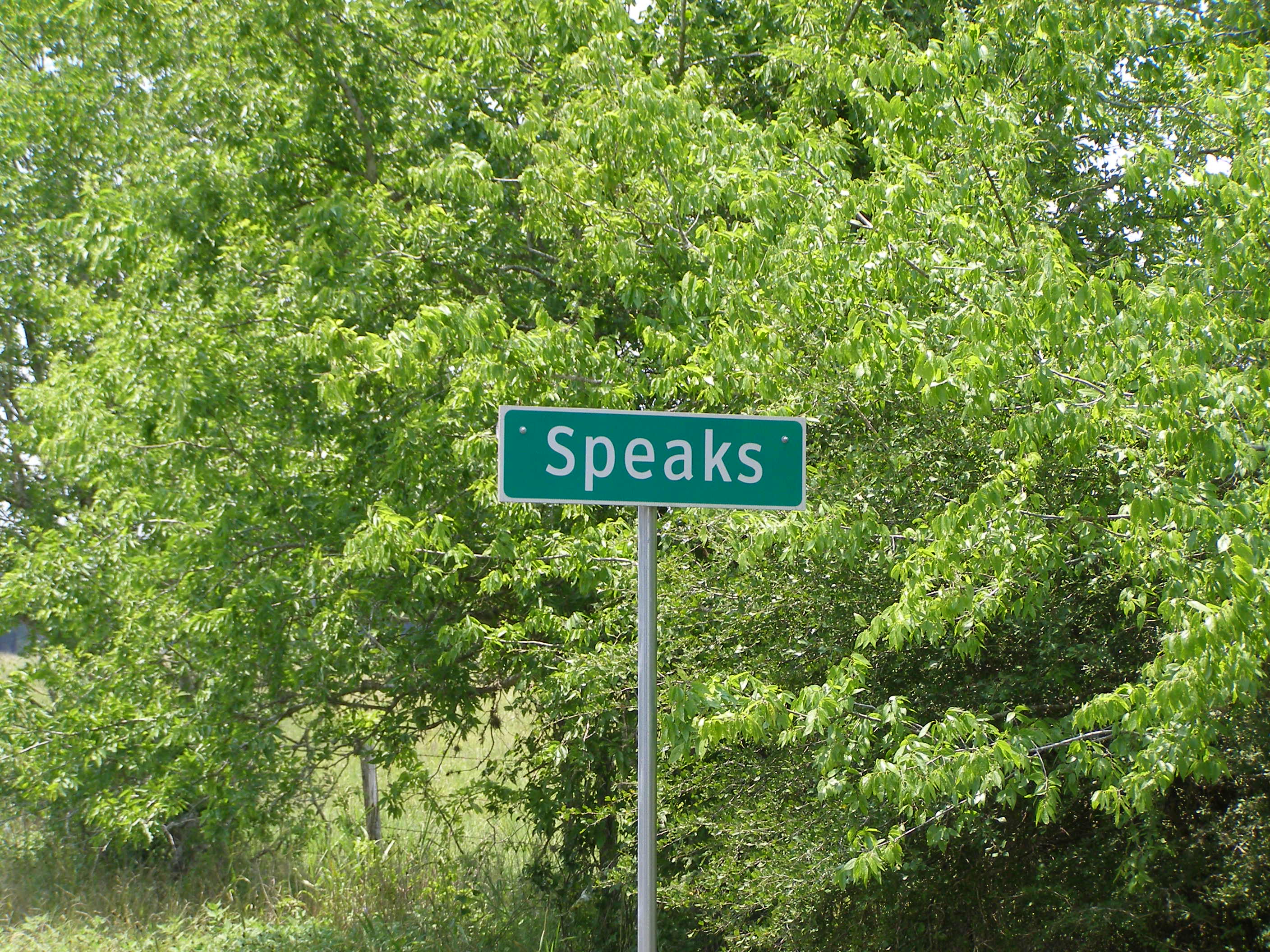 Speaks city limit